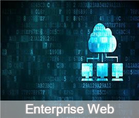 Enterprise Web